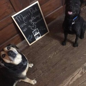 Meet your Posher, Whitney